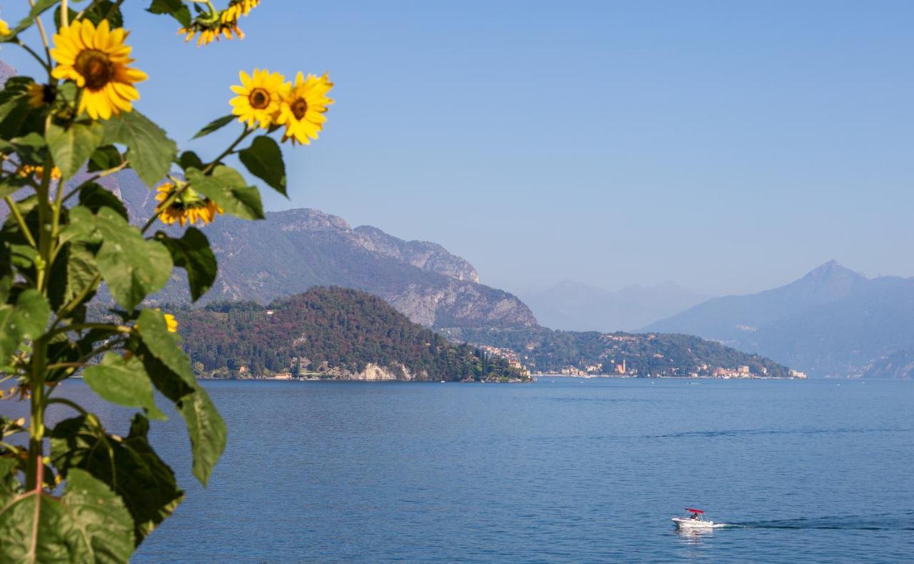 Appartamento Sosta Sul Lago Lezzeno Exterior photo